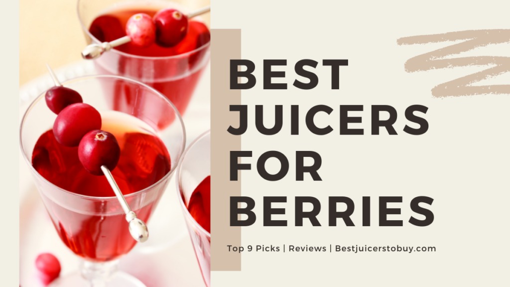 9 Best Juicers for Berries in 2024