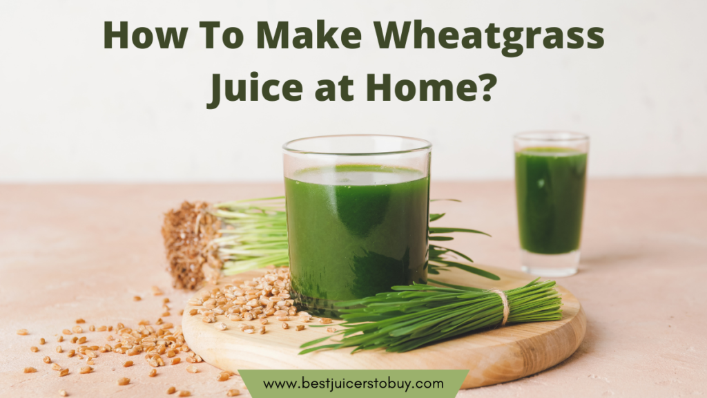 How To Make Wheatgrass Juice at Home?