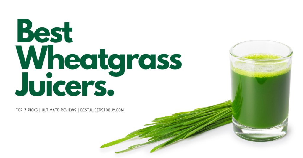 Best Wheatgrass Juicers