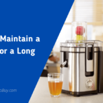 Tips To Maintain a Juicer For a Long Time