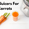 Best Juicers For Carrots