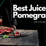 Best Juicer For Pomegranate