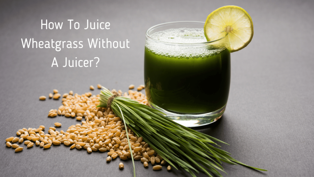 How To Juice Wheatgrass Without A Juicer