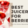 9 Best Juicers for Berries in 2021