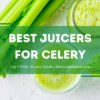 Best Juicers For Celery
