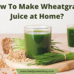 How To Make Wheatgrass Juice at Home?