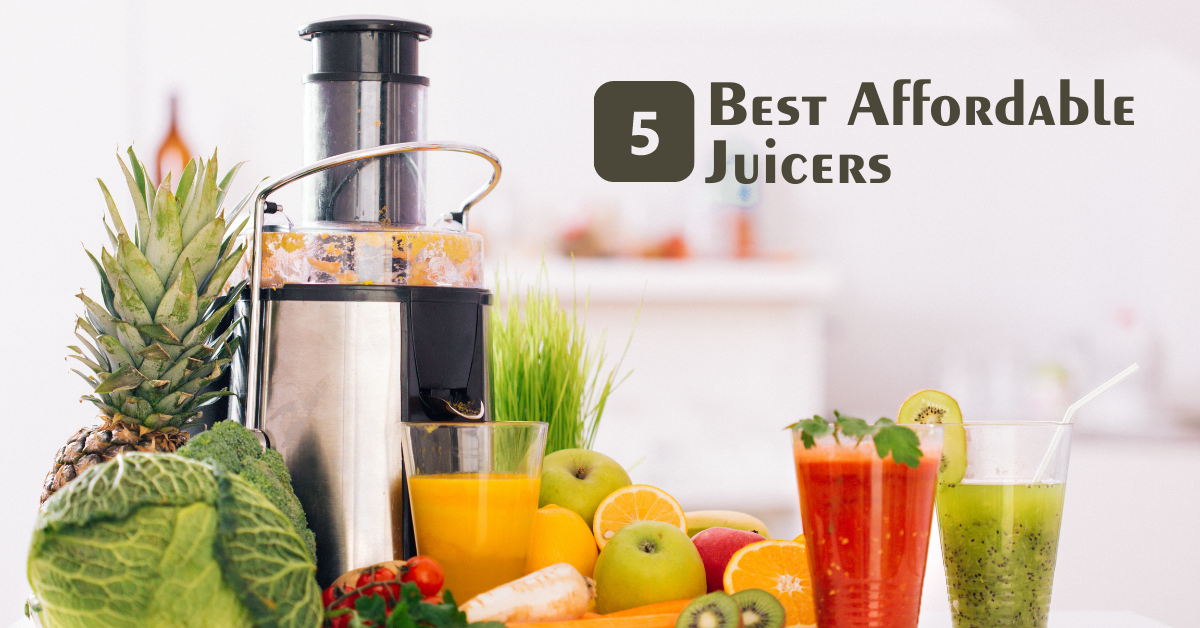 Top 5 Best Affordable Juicers 2024 [Ultimate Buyer's Guide]