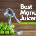 7 Best Manual Juicers in 2021