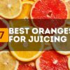 7 Best Oranges for Juicing