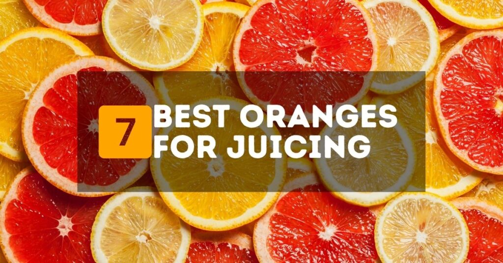 7 Best Oranges for Juicing